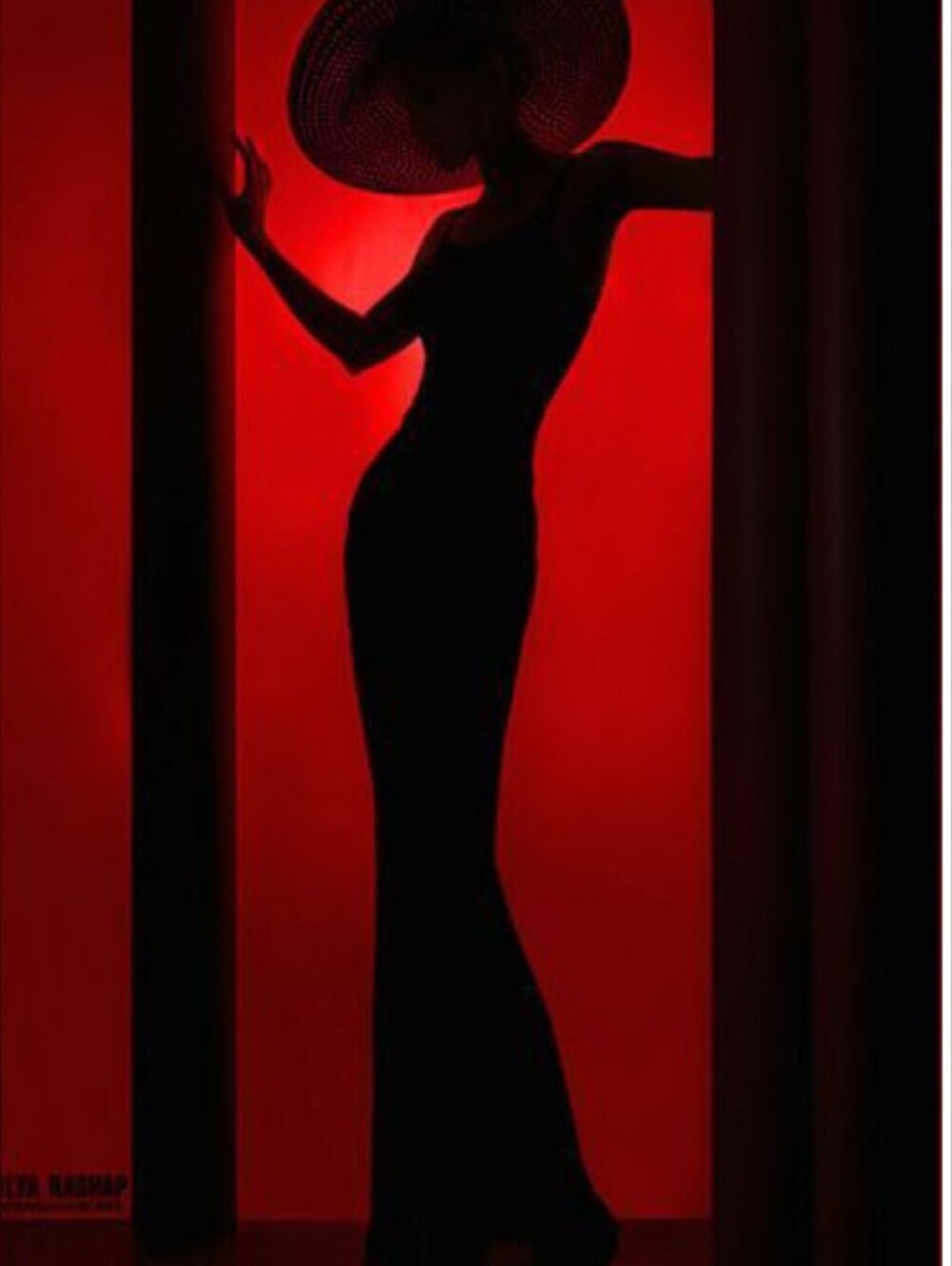 NWOTIsle Of Bonita:Ashro Black Velvet Red Lace Overlay Dress